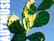Resenha: Lautmusik – Lost In The Tropics