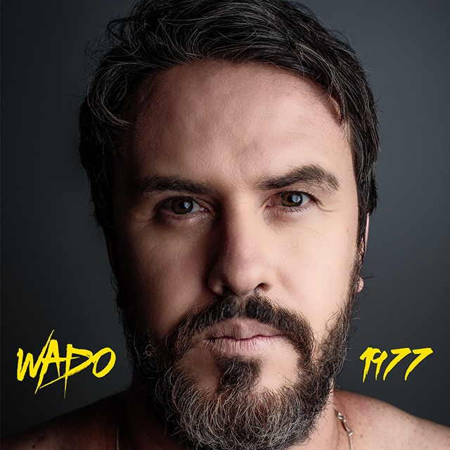 wado 1977 capa maiores decepções da música brasileira em 2015
