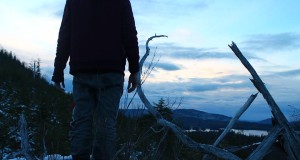 soundlights dimensões